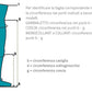 Medias Medicinales K1 para Varices tipo Panty Lycra Art.631